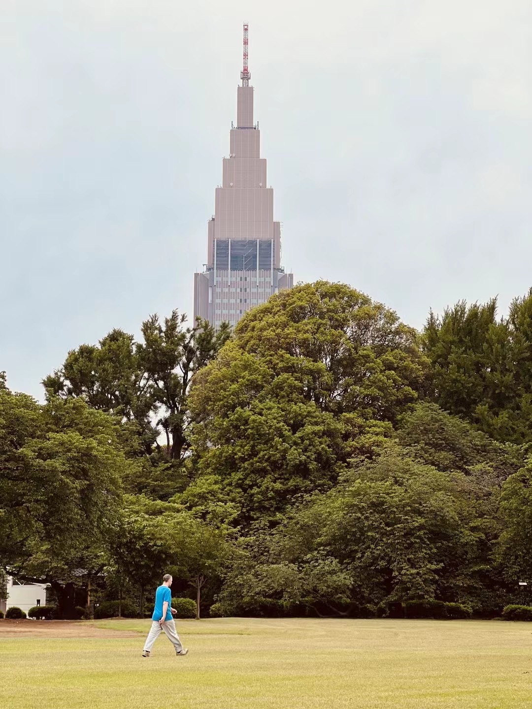 Japan Tokyo Yoyogi Park